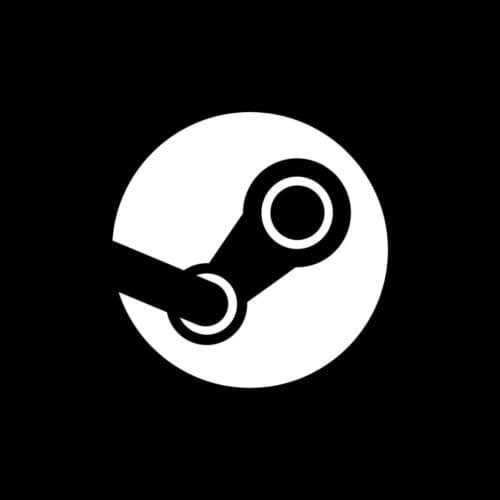 Steam icon representing digital game distribution platform.